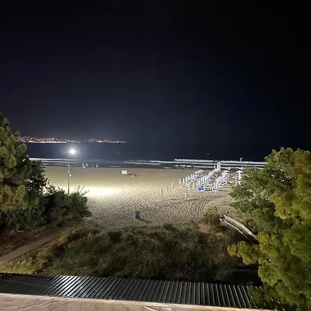 Gallery A * 써니비치