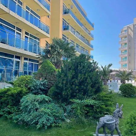 Gallery A ساني بيتش