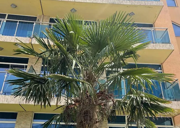 Gallery A * סאני ביץ'