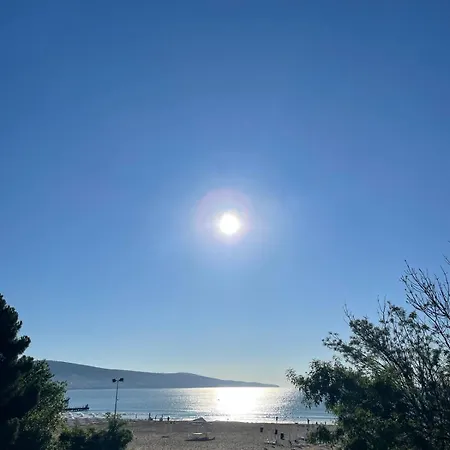 Gallery A サニービーチ