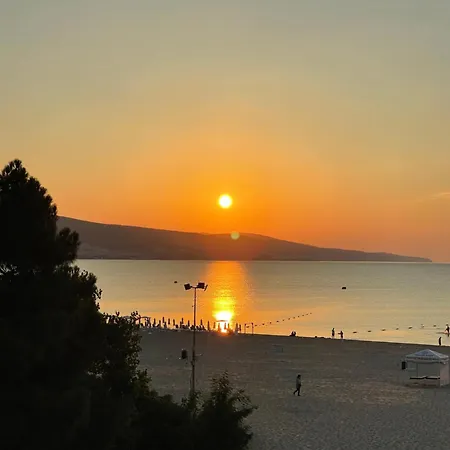 Gallery A アパート サニービーチ