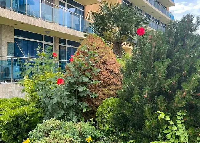 Gallery A Sunny Beach