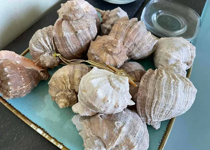 Gallery A Apartman Napospart